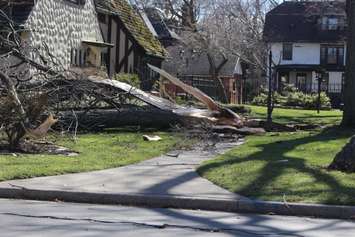 Wind damage on Niagara St. and Argyle Rd. in Windsor, March 8, 2017. (Photo by Maureen Revait)