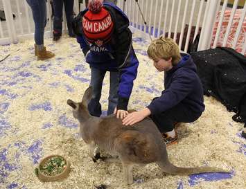 Southwestern Ontario Pet Expo at the John D. Bradley Convention Centre in Chatham. March 11, 2017. (Photo by Natalia Vega)