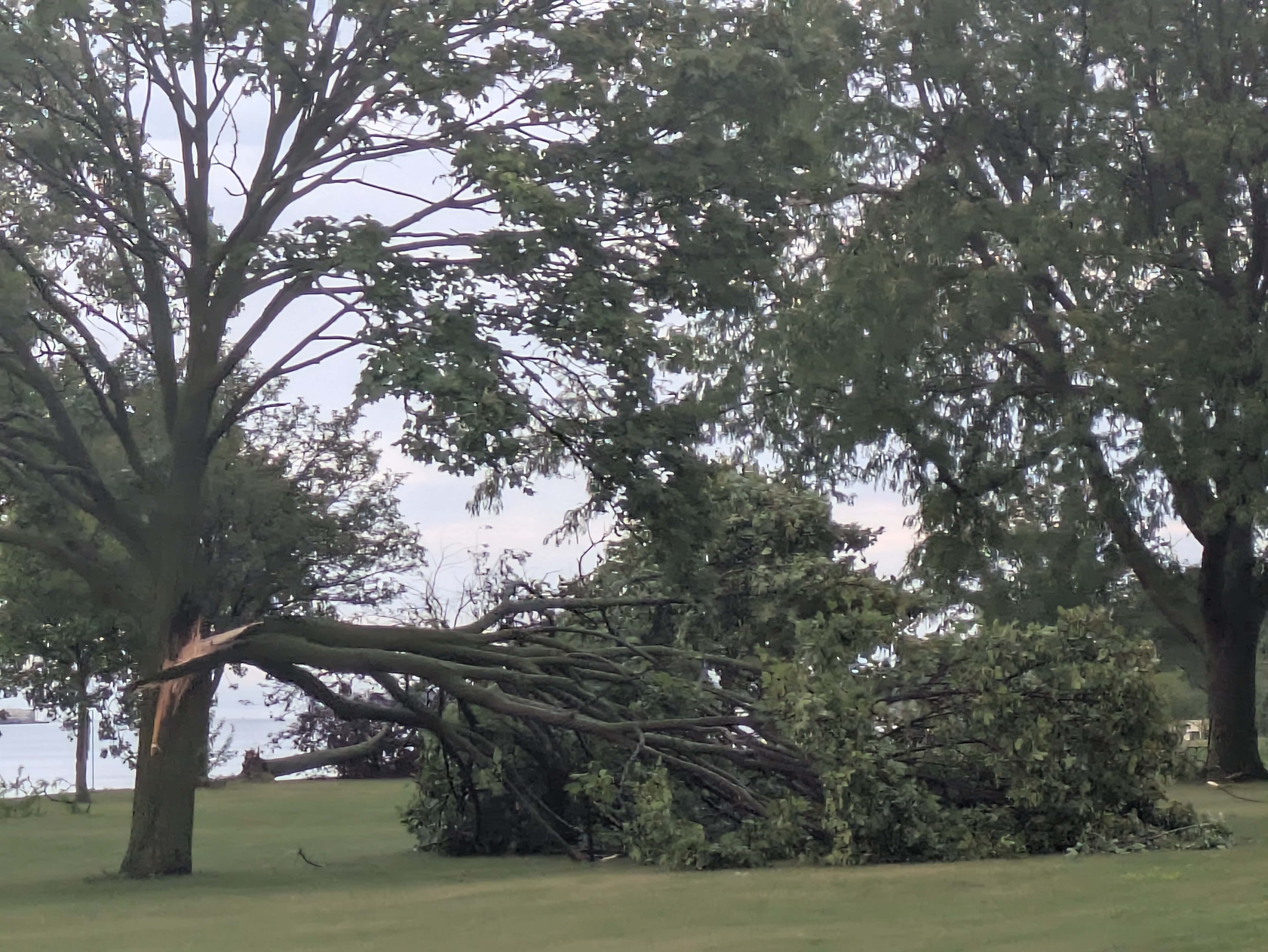 Storm clean-up expected to take several weeks