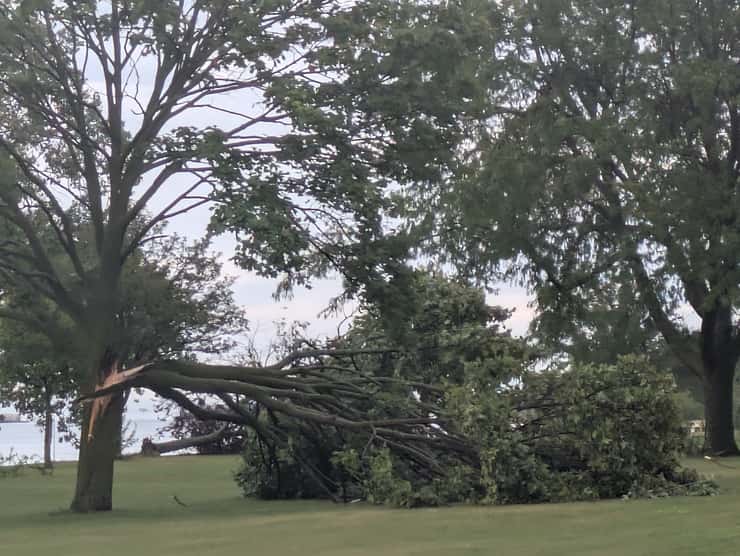 A downed tree at Alexander Park, Windsor, September 3, 2026. Photo by Mark Brown/WindsorNewsToday.ca.