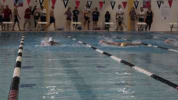 Swimmers taking part in the LKSSAA Swimming Championship from the Sarnia YMCA. January 17, 2019. (Photo by Colin Gowdy, BlackburnNews)
