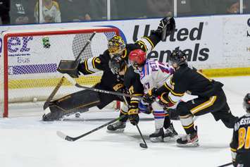 Kitchener Rangers at Sarnia Sting, March 6, 2022.   (Metcalfe Photography)