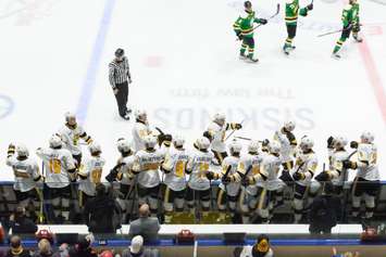 The Sarnia Sting celebrate a goal against the London Knights.  16 November 2021.  (Metcalfe Photography)