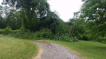 Storm damage at Rock Glen Family Resort Sat June 17, 2017. Photo by Rob Russell. 