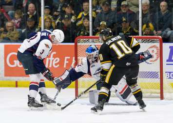 The Windsor Spitfires take on the Sarnia Sting, March 24, 2018. (Photo courtesy of Metcalfe Photography)