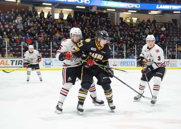 The Sarnia Sting defeat the Niagara IceDogs 5-4 in OT. February 10, 2018. (Photo courtesy of Metcalfe Photography)