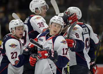 The Windsor Spitfires take on the Sarnia Sting, March 23, 2018. (Photo courtesy of Metcalfe Photography)