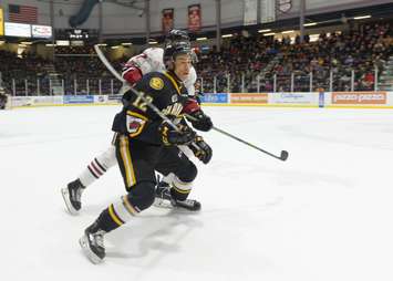 Sarnia forward Jonathan Ang. March 10, 2018. (Photo courtesy of Metcalfe photography)
