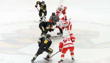 Soo Greyhounds at Sarnia Sting, March 14, 2025. Photo by Metcalfe Photography. 