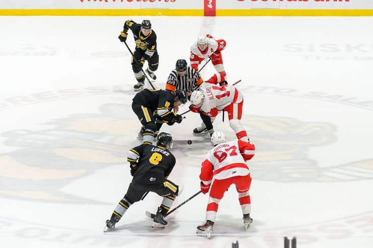 Soo Greyhounds at Sarnia Sting, March 14, 2025. Photo by Metcalfe Photography. 