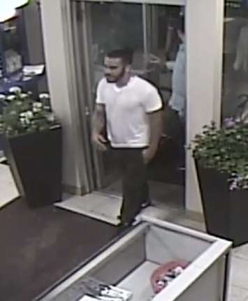 Suspects sought in downtown Windsor brawl. (Photo courtesy of WPS)