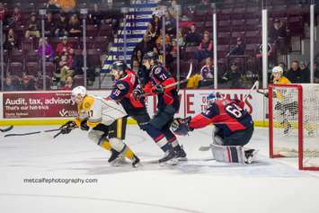 The Windsor Spitfires take on the Sarnia Sting, March 29, 2018. (Photo courtesy of Metcalfe Photography)