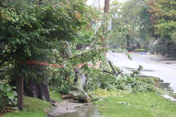 Heavy rain in Windsor-Essex caused flooding across many roadways in the region, also affecting homes and businesses on September 29, 2016. (Photo by Ricardo Veneza)