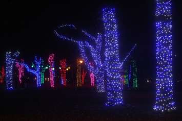 Bright Lights Windsor, Jackson Park, December 6, 2019. Photo by Mark Brown/Blackburn News.