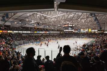 Stuffed Toys Collected at The Annual Teddy Bear Toss. December 6/15 (Photo Courtesy of Metcalfe Photography)