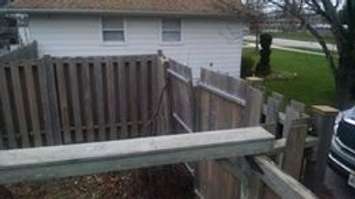 High winds throw tree branches and damage fence in Windsor-Essex, November 24, 2014. (photo by Barb Lentsch)
