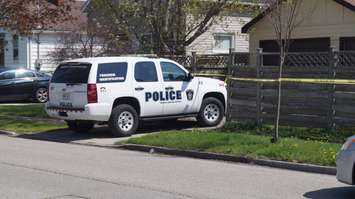 Police presence at the corner of Russell St. and Cobden St. May 6 2015. (BlackburnNews.com Photo by Jake Jeffrey).