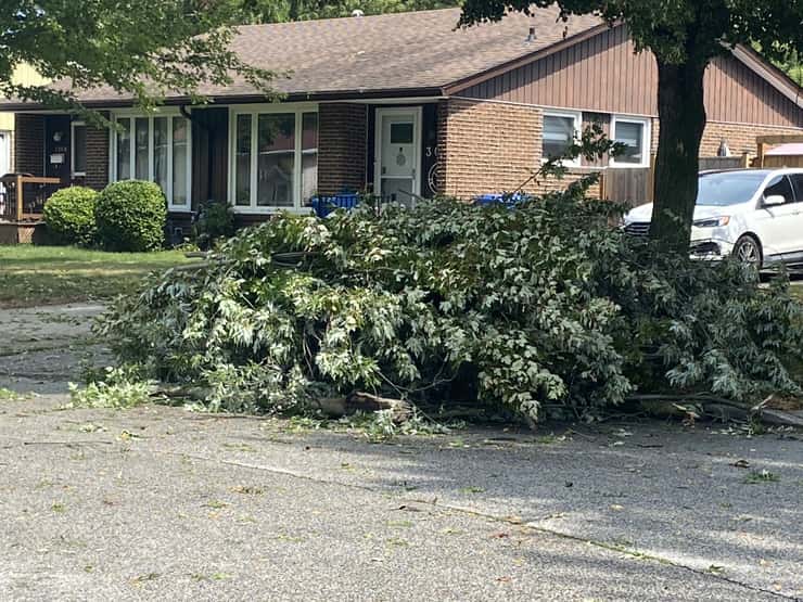 Storm damage is shown in Windsor's Forest Glade area, September 3, 2026. Photo by Adelle Loiselle/WindsorNewsToday.ca