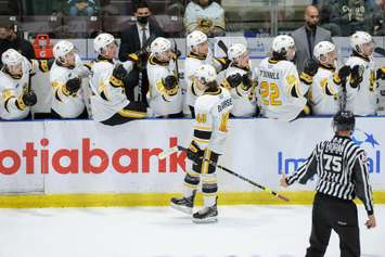 The Sarnia Sting celebrate a goal against the London Knights.  16 November 2021.  (Metcalfe Photography)
