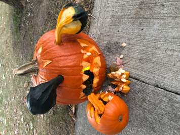 Scariest pumpkin in Petrolia's first annual pumpkin carving contest (Submitted photo)