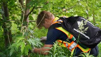 UCC Students (Via SCCDSB website)
