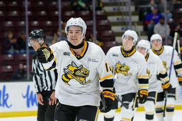 Sarnia Sting's Ben Pickell, photo by Metcalfe Photography. 