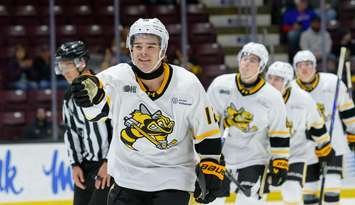 Sarnia Sting's Ben Pickell, photo by Metcalfe Photography. 