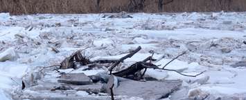 The flow of ice may look cool but it can be quite destructive, uprooting trees along the river bank. February 7, 2019. (Photo by Greg Higgins)
