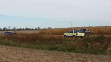 Emergency crews on scene at a plane crash north of Chatham, October 2, 2015 (Photo by Jake Kislinsky)
