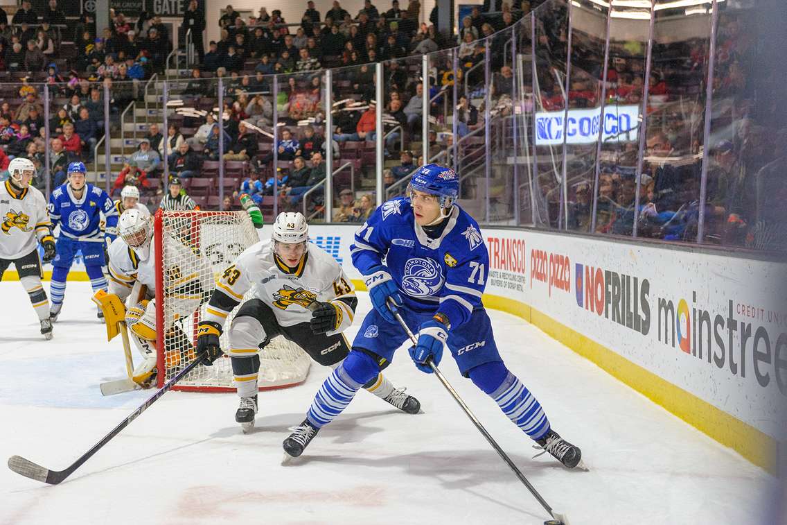 Sarnia Sting host Brampton Steelheads, Nov 30, 2024 (Photo by: Darren Metcalfe Photography)