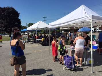 Sarnia-Lambton Rebound hosts a Pokemon Go 