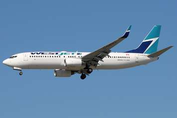 WestJet plane. (File photo courtesy of Ben King via Wikipedia)
