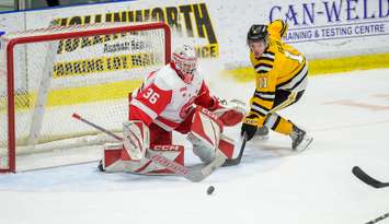Soo Greyhounds at Sarnia Sting, February 19, 2024. Photo by Metcalfe Photography. 