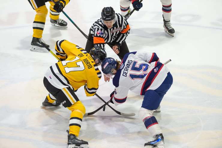 Saginaw at Sarnia Sting, February 17, 2025. Photo by Metcalfe Photography. 