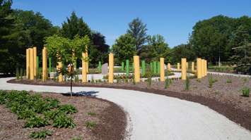 Walkway leading up to Mary-Ann's Marigold Garden in Germain Park. June 24, 2015 (BlackburnNews.com Photo by Briana Carnegie)