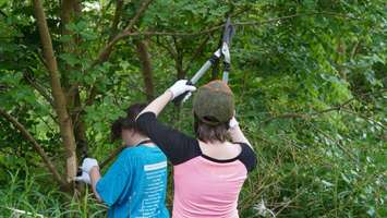 UCC Students (Via SCCDSB website)