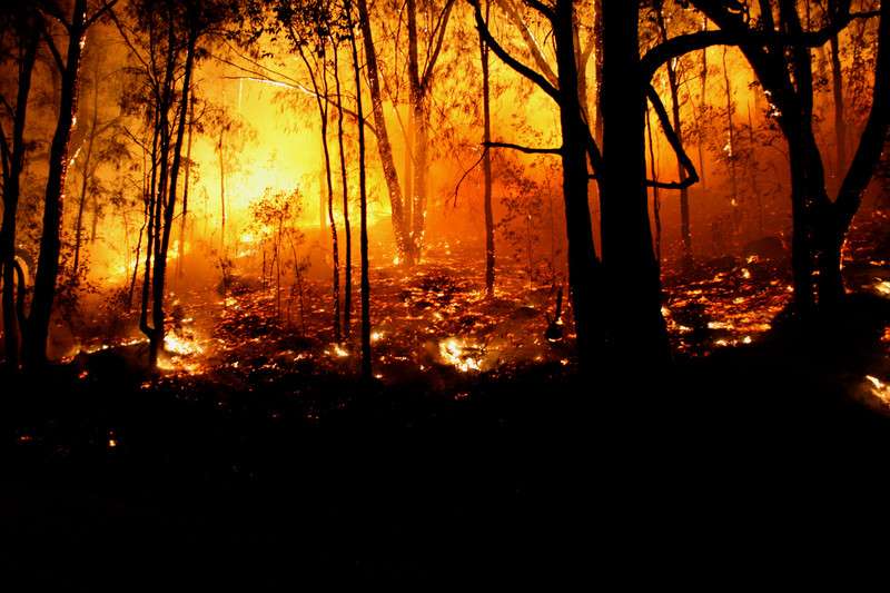 Georgian Bluffs opens air quality relief centres during wildfire smoke pollution