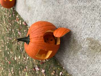 Funniest pumpkin in Petrolia's first annual pumpkin carving contest (Submitted photo)