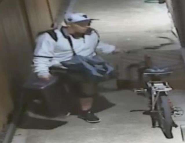Windsor police look for suspect in residential break-in