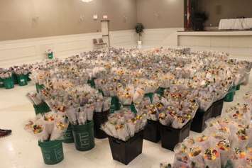 Volunteers prepare for the 