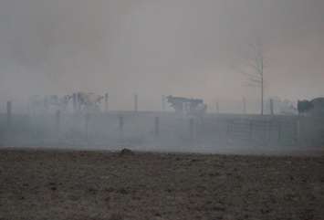Area fire departments battle blaze at dairy farm in Tecumseh, April 18, 2016. (Photo by Maureen Revait) 