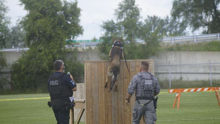 PSD Vader jumping a large fence during a demonstration, August 9, 2024 (Photo by: Lindsay Newman/ Blackburn Media)