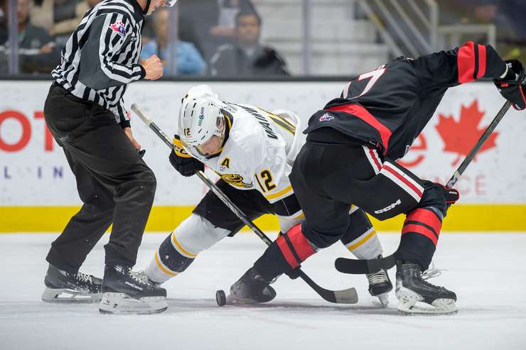 The Sarnia Sting host the Niagara Ice Dogs, Oct 26, 2024 (Photo by: Darren Metcalfe Photography)