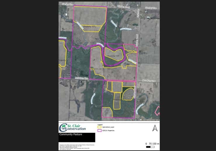 A map of properties (103, 105 and 111) that make up the Community Pasture. Image courtesy of St. Clair Region Conservation Authority.