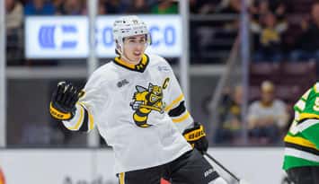 Sarnia Sting Captain Alessandro Di Iorio, photo by Metcalfe Photography. 