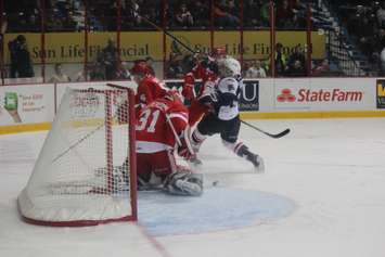 The Windsor Spitfires lose 2-4 against the Sault Ste Marie Greyhounds on November 16, 2014 at the WFCU Centre. (Photo by Jason Viau)