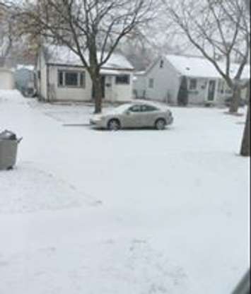 2200 block of Elsmere Ave. (Photo courtesy Tina Saunders)