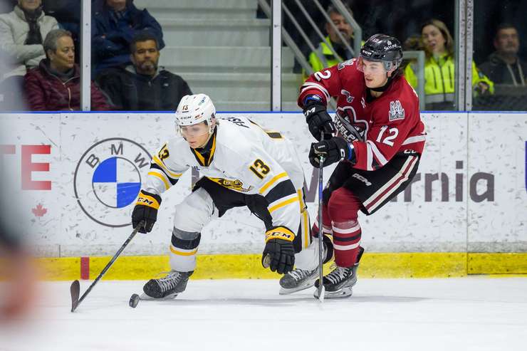 Guelph Storm at Sarnia Sting, Nov 26, 2023. Photo by Metcalfe Photography. 
