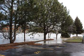 Flooding behind the Civic Centre in Chatham. February 25, 2018. (Photo by Natalia Vega)