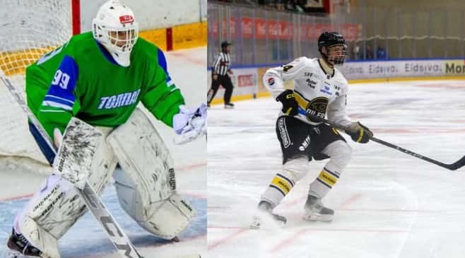 Sting nab goalie, big centre in CHL Import Draft